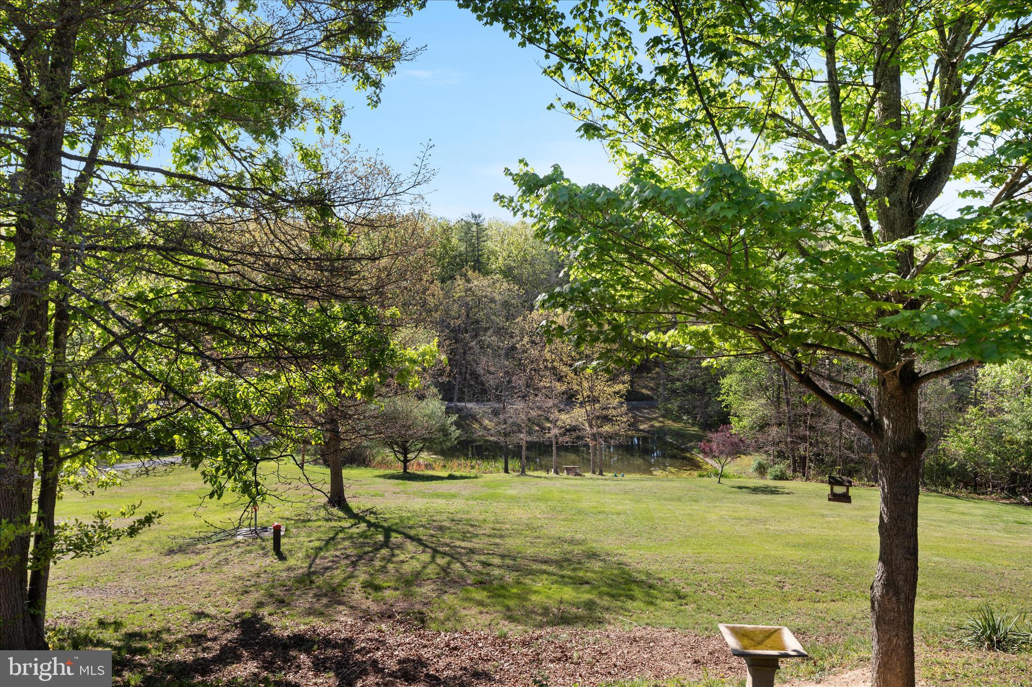 775 Pack Horse Road Winchester, VA 22603 - Photo 7 of 28 a view of a garden with an outdoor space