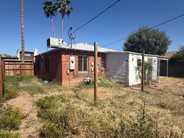 a view of backyard with potted plants