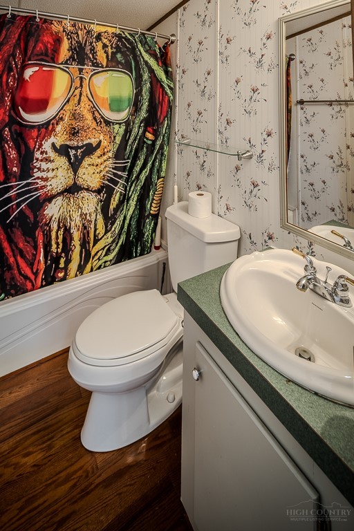 461 Reuben Wooten Road Banner Elk, NC 28604 - Photo 26 of 39 a bathroom with a sink a toilet and shower
