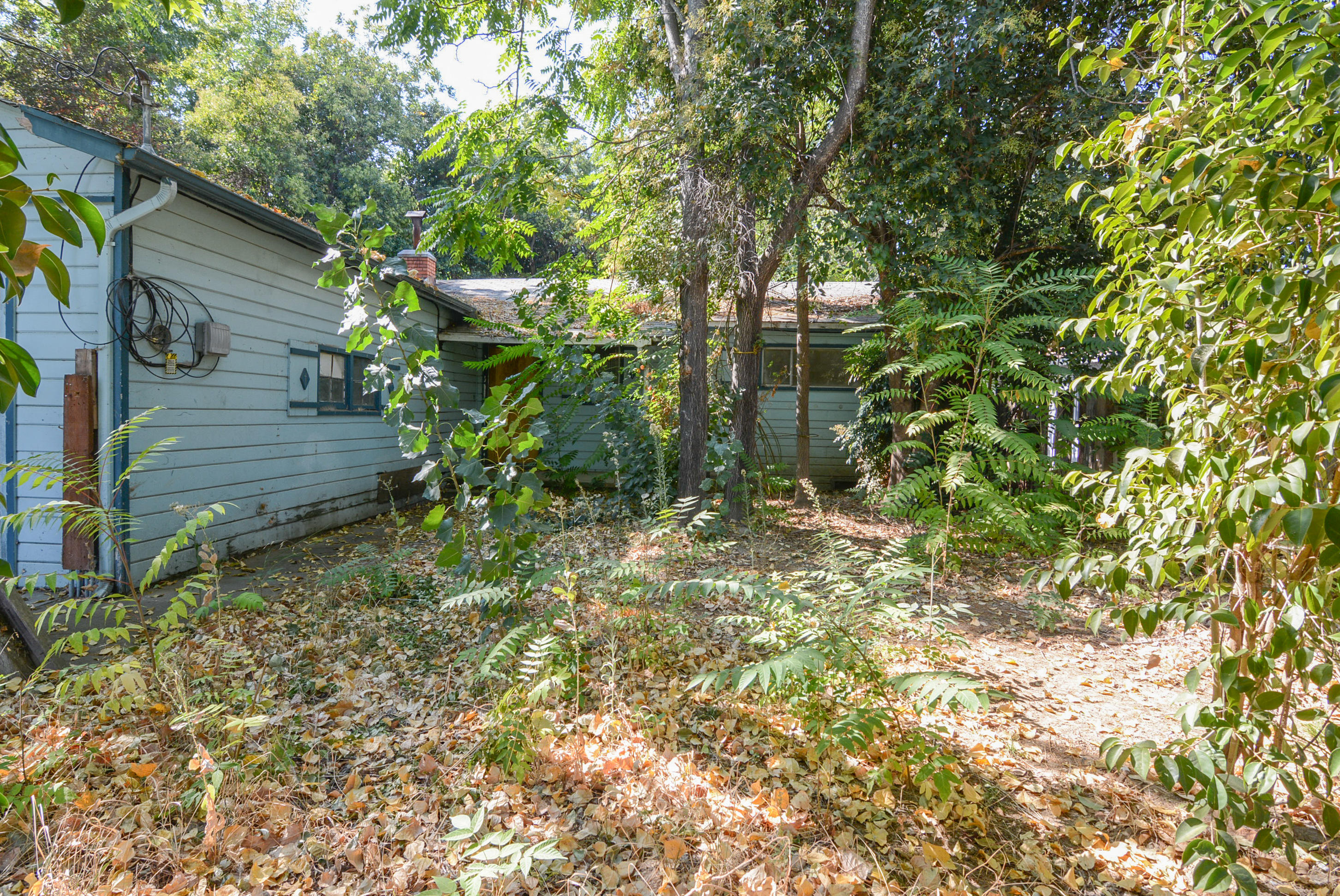 Front Yard
