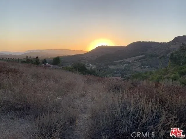 a view of a dry yard with green space