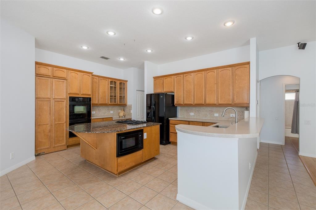 2151 Edelweiss Loop Trinity, FL 34655 - Photo 15 of 78