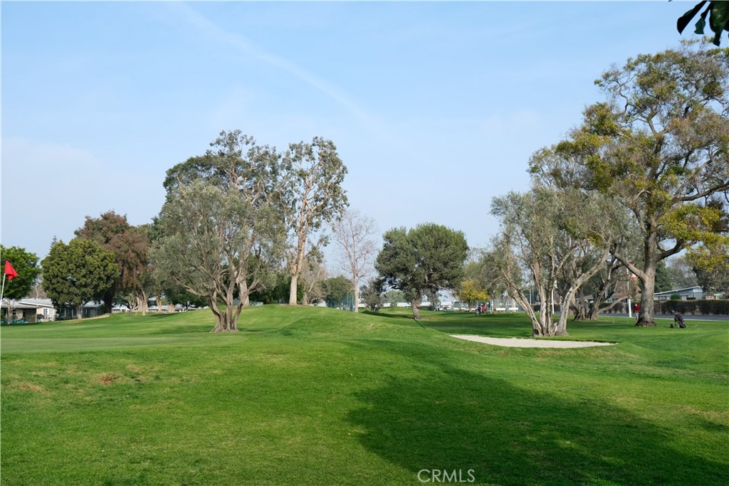 1121 Northwood Road, Unit 237D M9 Seal Beach, CA 90740 - Photo 42 of 45 a view of grassy field with benches and trees all around