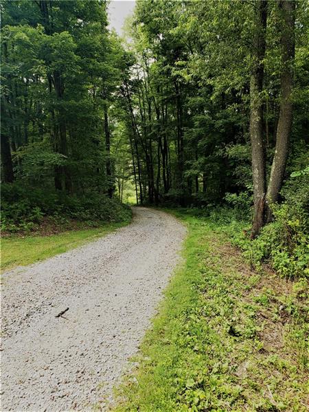 902 Chicora Road Chicora, PA 16025 - Photo 2 of 15 Gallery Image 2