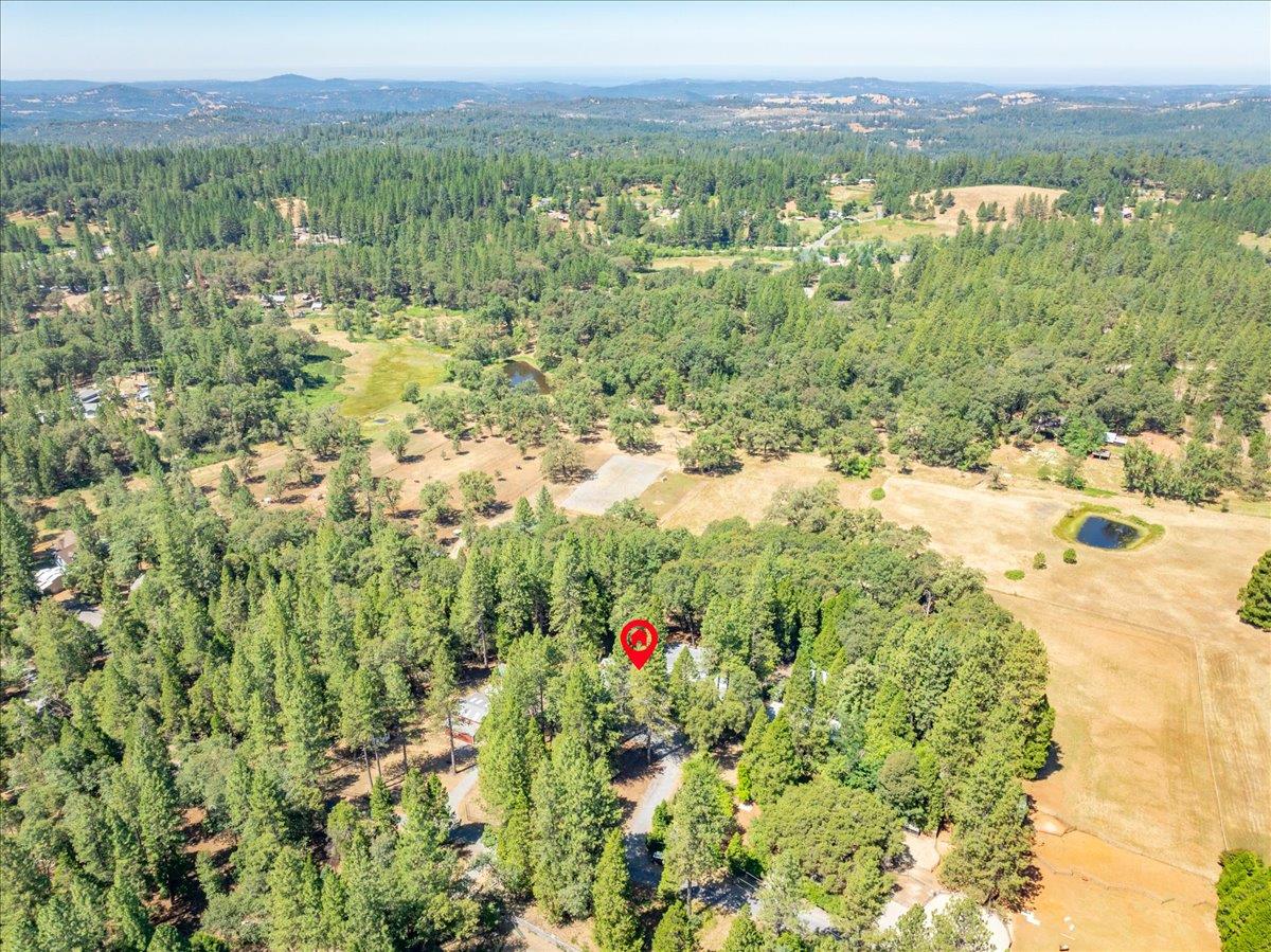 4380 Slodusty Road Garden Valley, CA 95633 - Photo 60 of 63