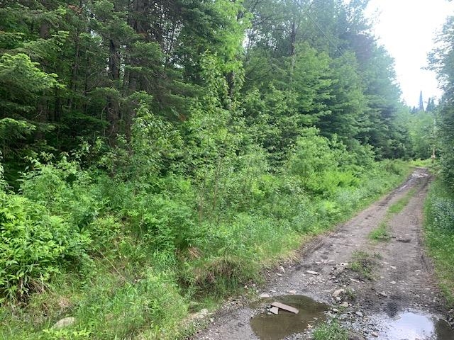 Tbd Griffin Road Stewartstown, NH 03576 - Photo 4 of 5