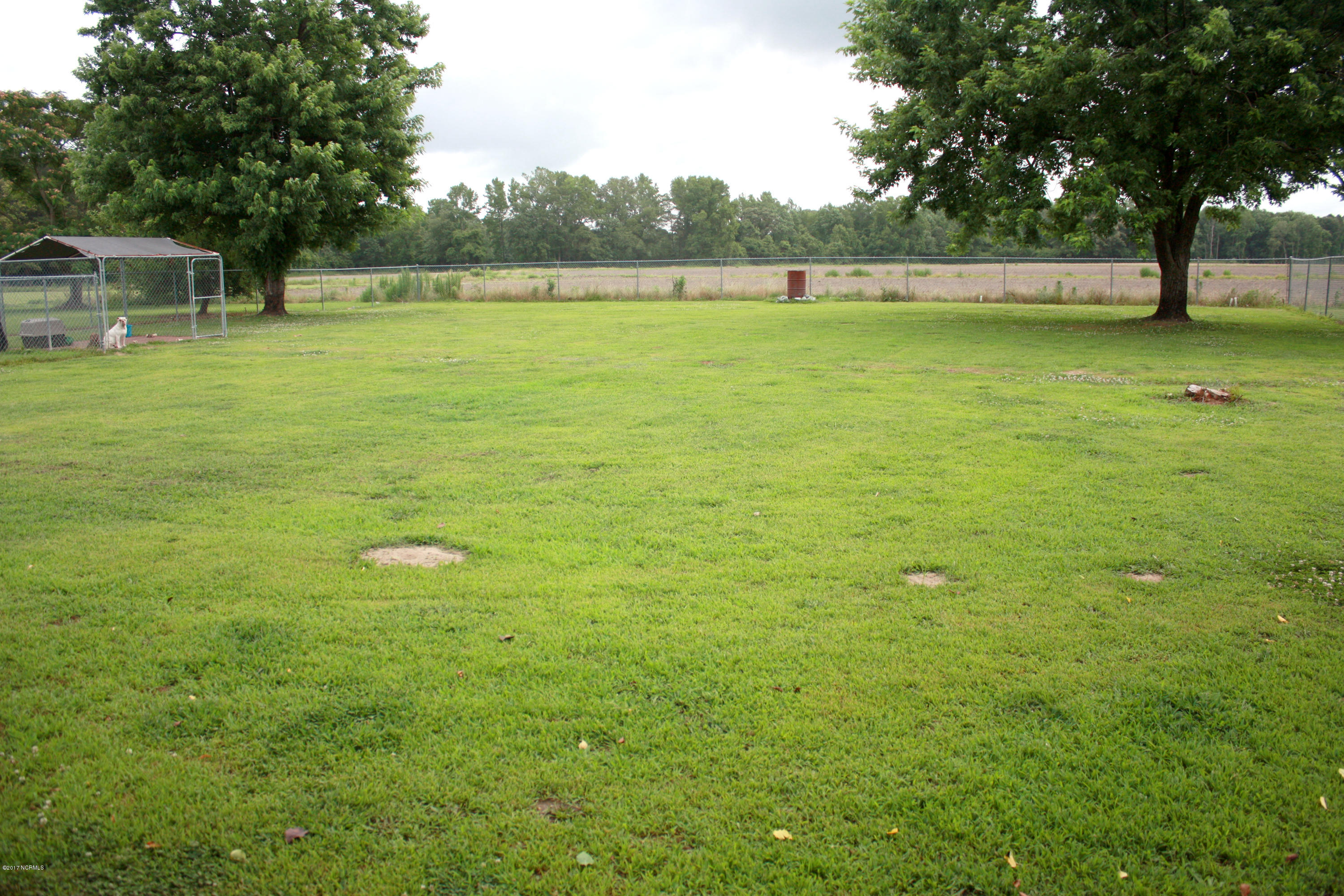 4682 Toddy Road Farmville, NC 27828 - Photo 26 of 28 Back Yard