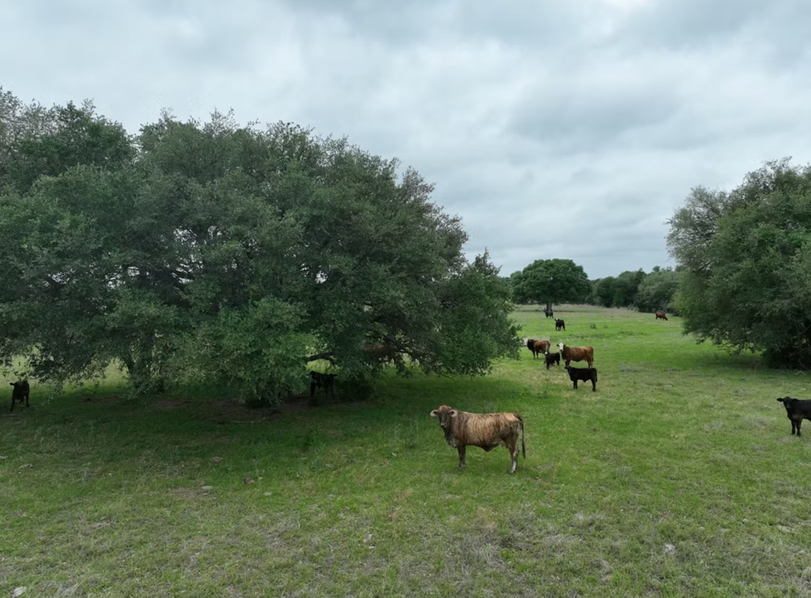View of home's community with a rural view