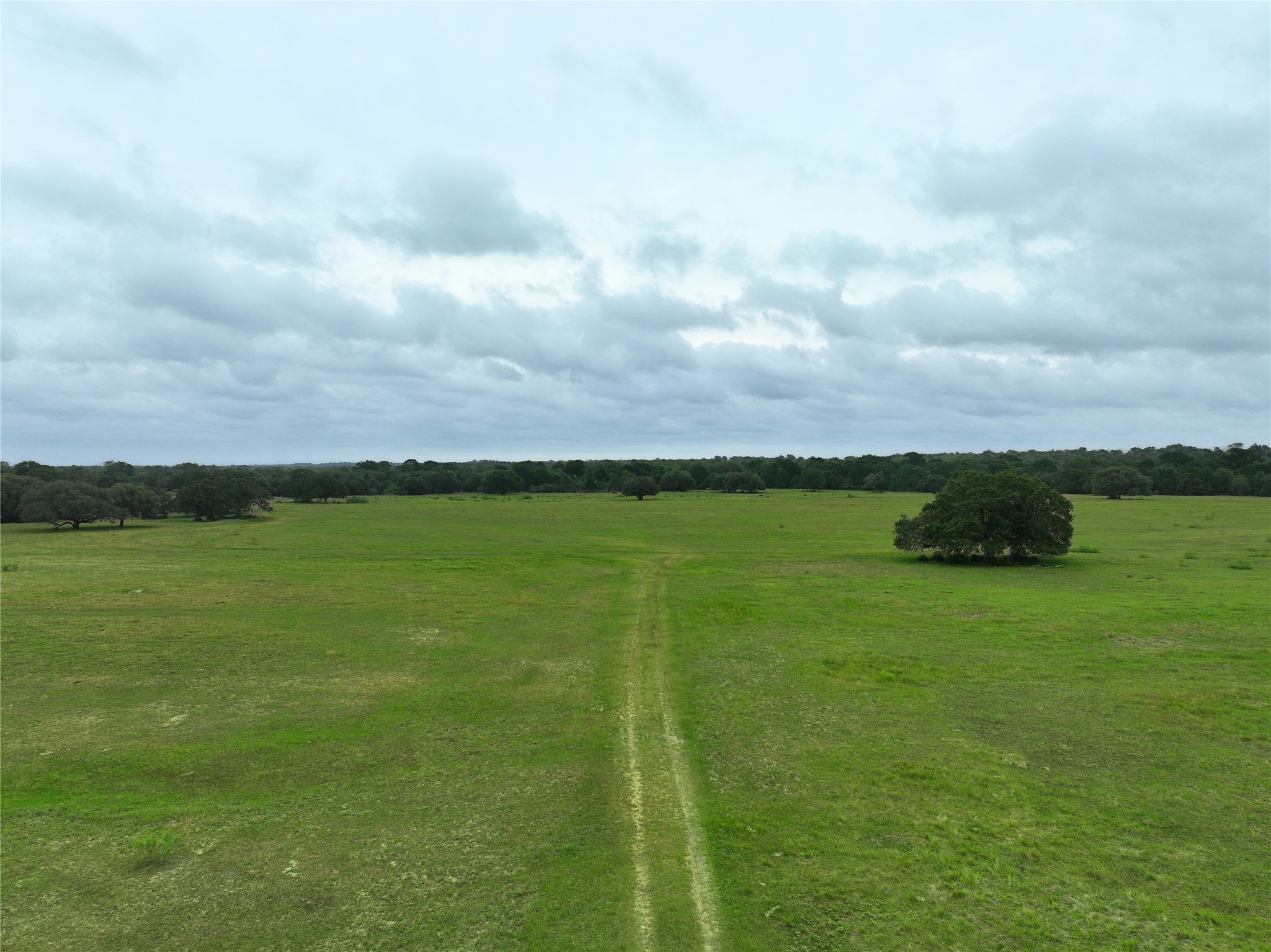 127 Cr 127 Road Ledbetter, TX 78946 - Photo 6 of 9 View of local wilderness with rural landscape