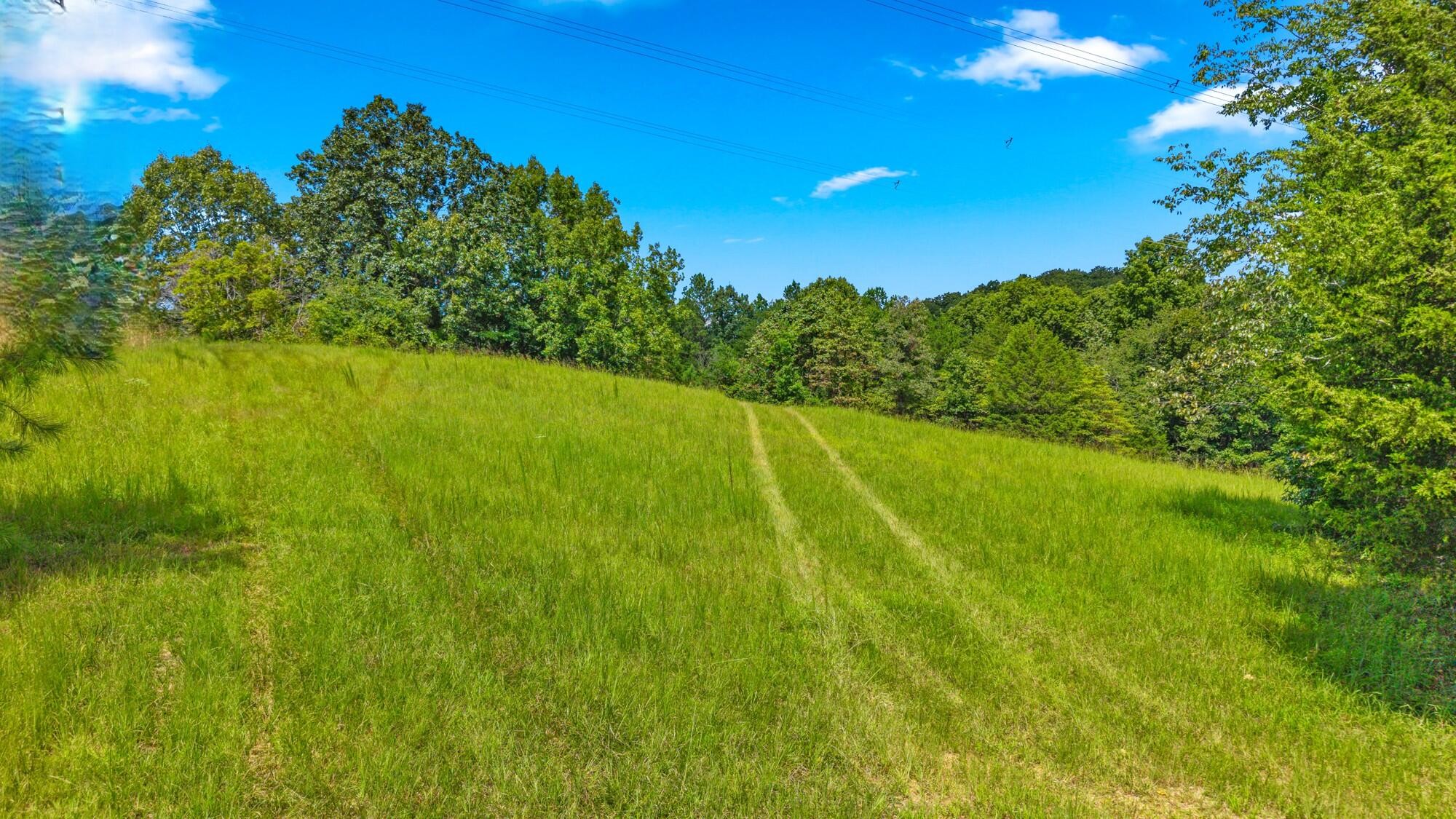 1627 Wasson Road Ten Mile, TN 37880 - Photo 11 of 13