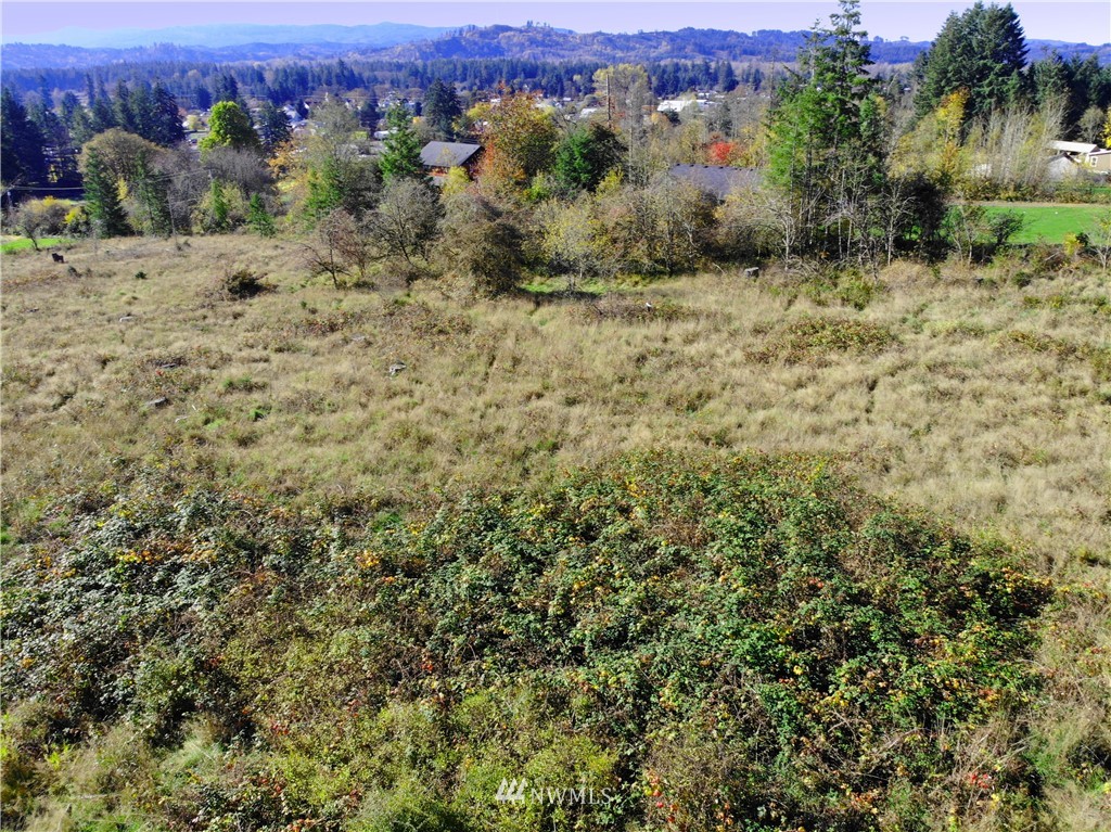 26 Campion Road Oakville, WA 98568 - Photo 12 of 20 Gallery Image 12