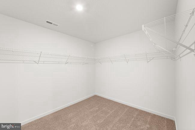 700 Eddy Road Inwood, WV 25428 - Photo 52 of 62 Primary Closet