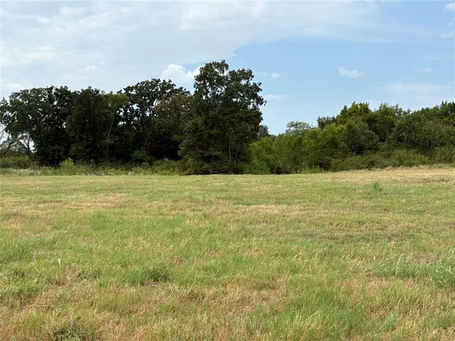 a view of a field with an ocean