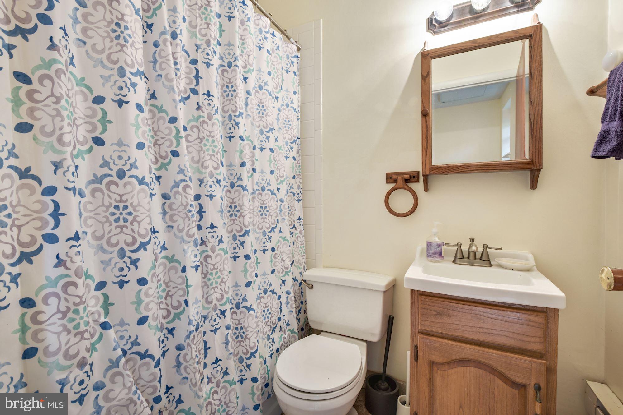 508 3rd Street Northeast Washington, DC 20002 - Photo 22 of 25 Lower level full bathroom