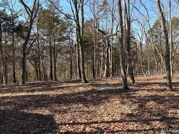 $38,900 | 23 Cedar Drive, New Florence, MO 63363