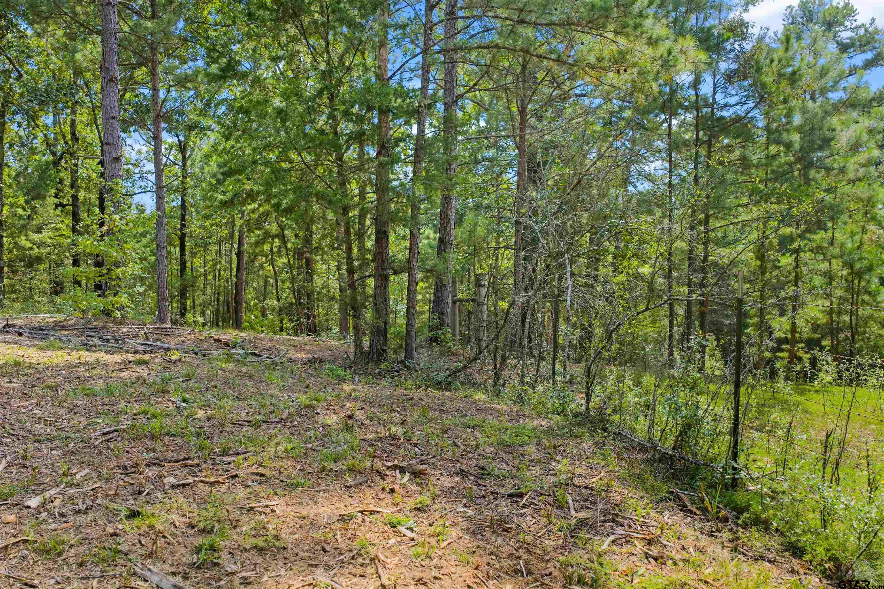 Tbd Frances Lane Diana, TX 75640 - Photo 12 of 13 a view of outdoor space and trees