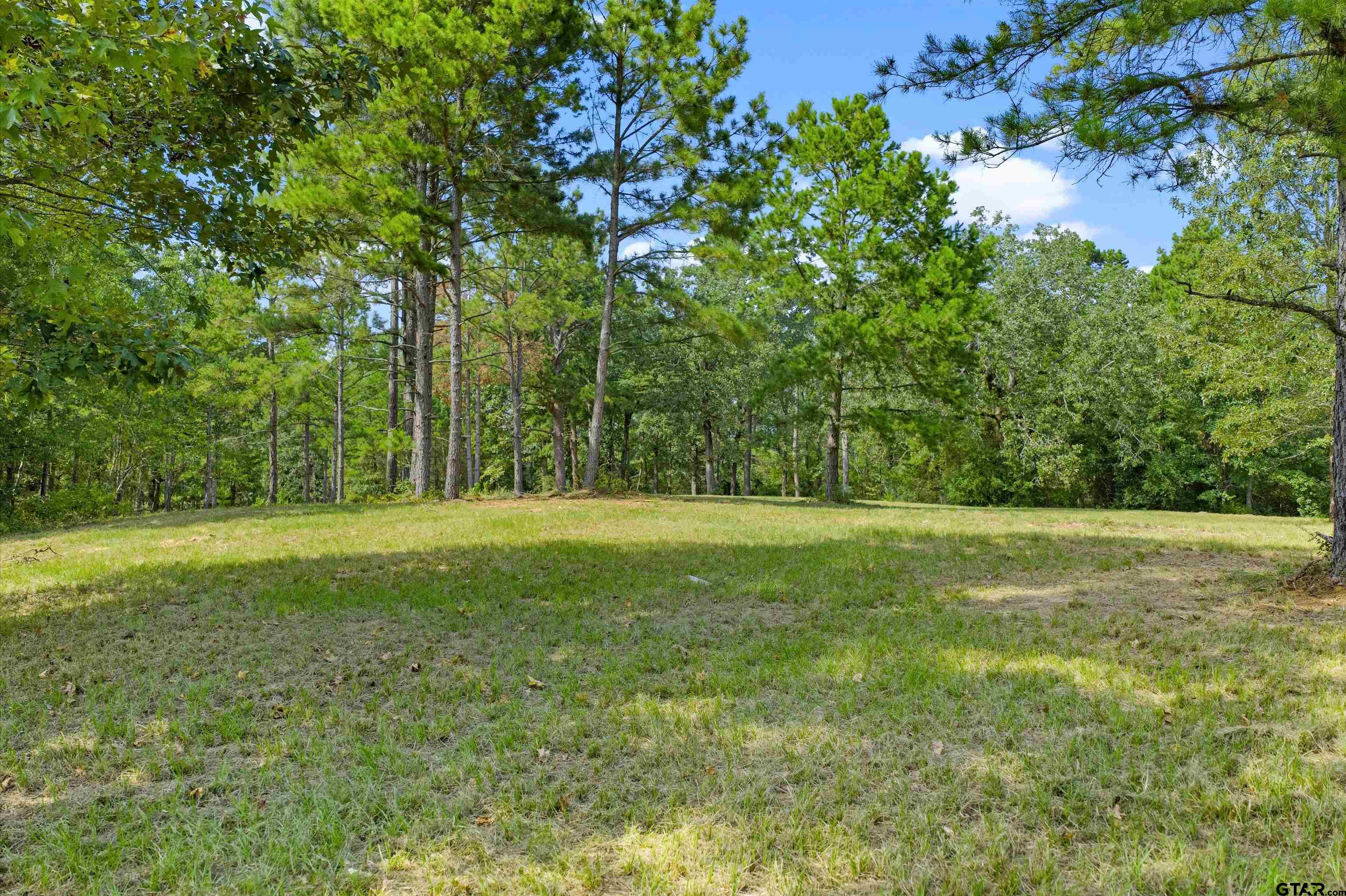 Tbd Frances Lane Diana, TX 75640 - Photo 2 of 13 a view of outdoor space