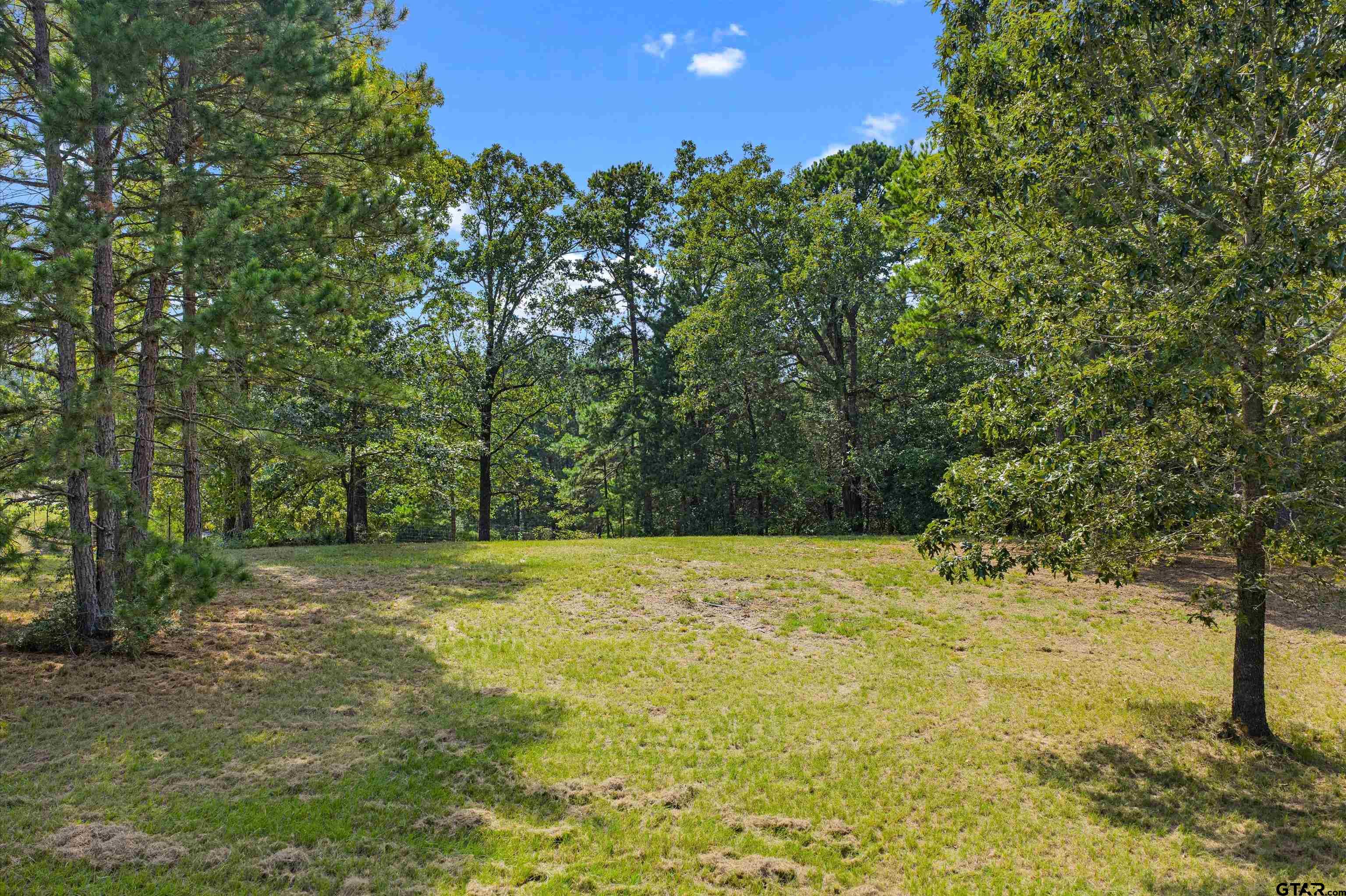 Tbd Frances Lane Diana, TX 75640 - Photo 3 of 13 a view of a yard with an trees