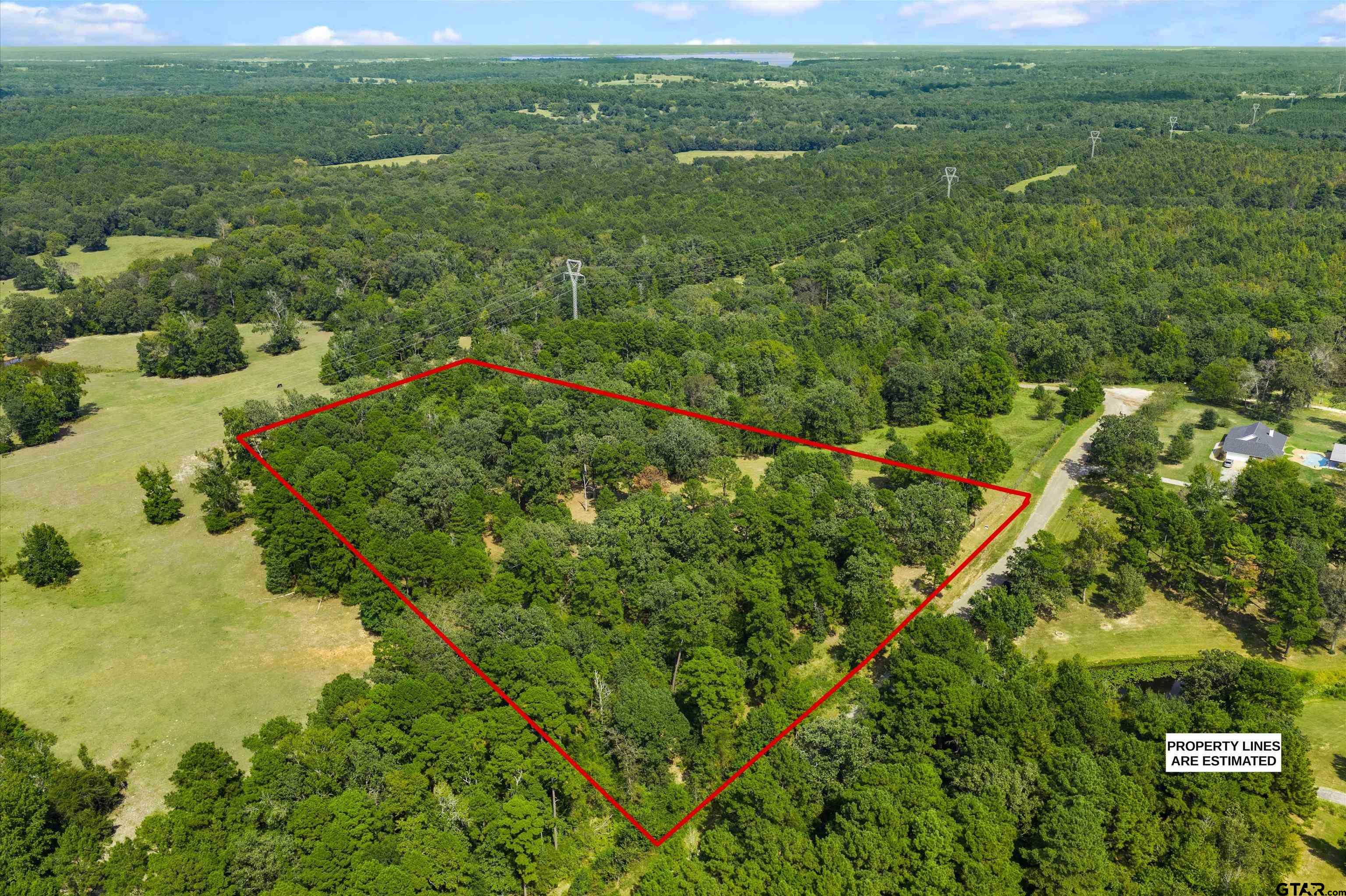Tbd Frances Lane Diana, TX 75640 - Photo 8 of 13 a view of a city with lush green forest