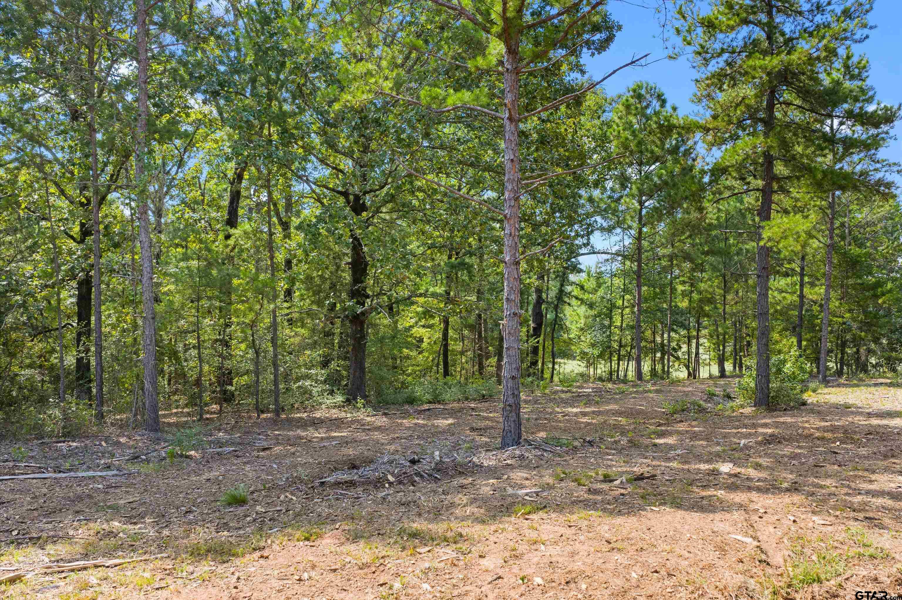 Tbd Frances Lane Diana, TX 75640 - Photo 9 of 13 a view of outdoor space with trees