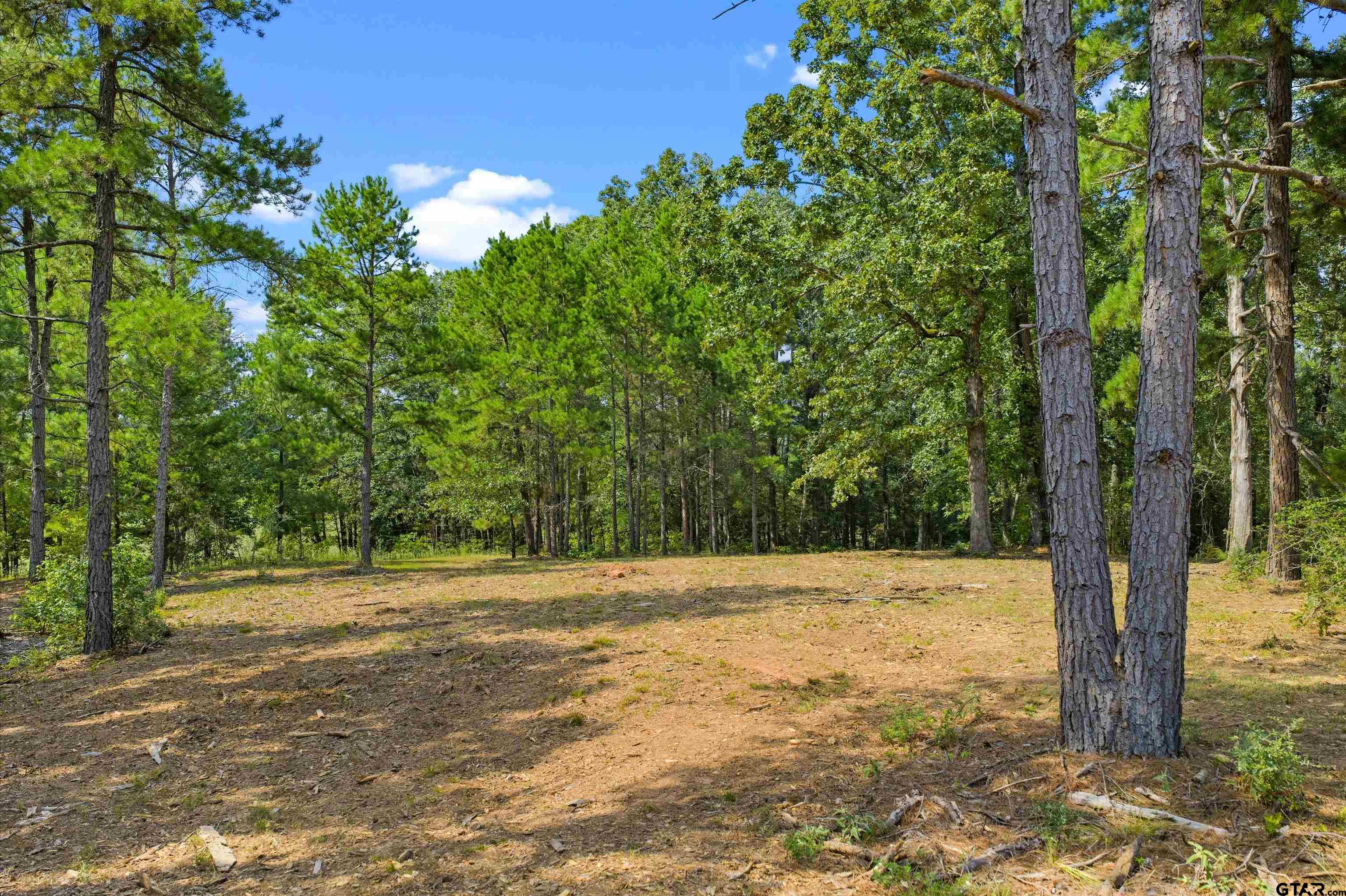 Tbd Frances Lane Diana, TX 75640 - Photo 10 of 13 a view of a yard with a tree
