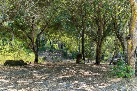 a view of a bench in the backyard of the house