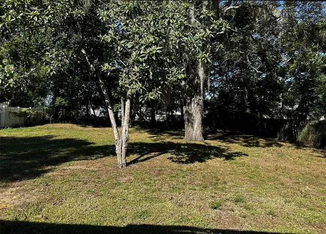 a backyard of a house with lots of green space