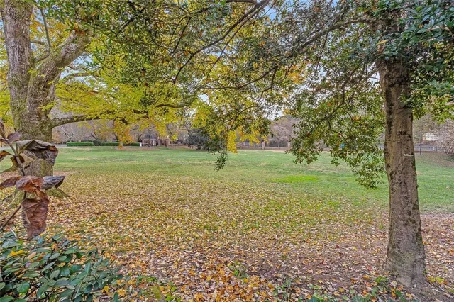 a view of a yard with plants and large trees