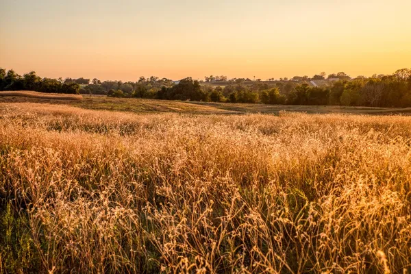 $975,000 | Tbd Pleasant Hill School Road, Brenham, TX 77833