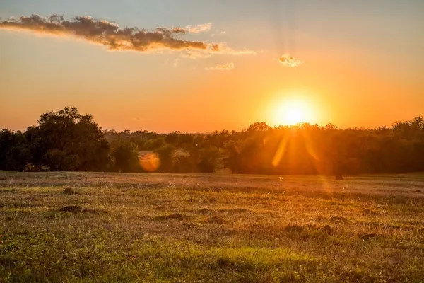 $975,000 | Tbd Pleasant Hill School Road, Brenham, TX 77833
