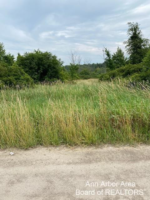 0 Hitchingham Road Milan, MI 48160 - Photo 3 of 5 Photo 3