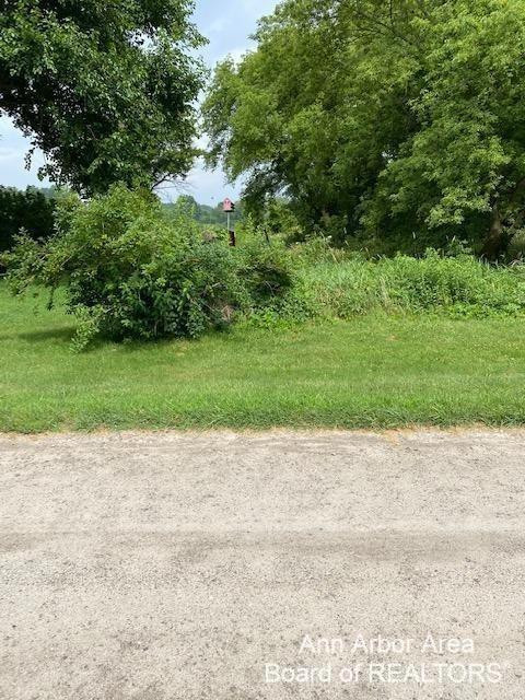 0 Hitchingham Road Milan, MI 48160 - Photo 4 of 5 Photo 4