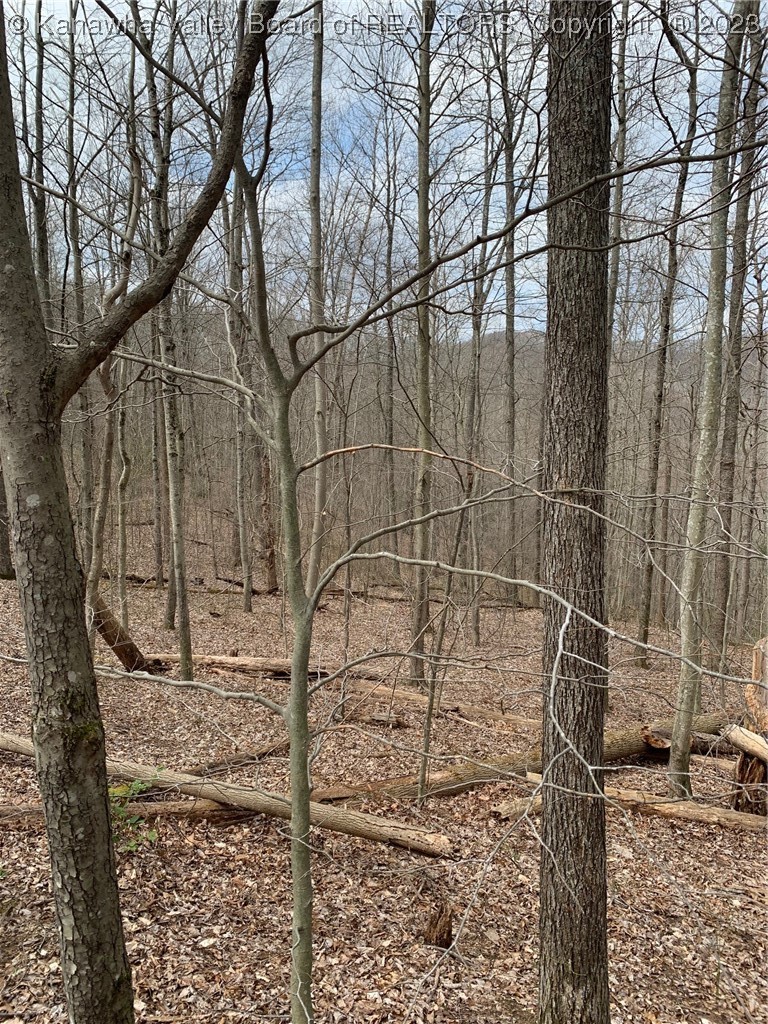 444 Carolina Mountain Road Sutton, WV 26601 - Photo 10 of 17 Gallery Image 10