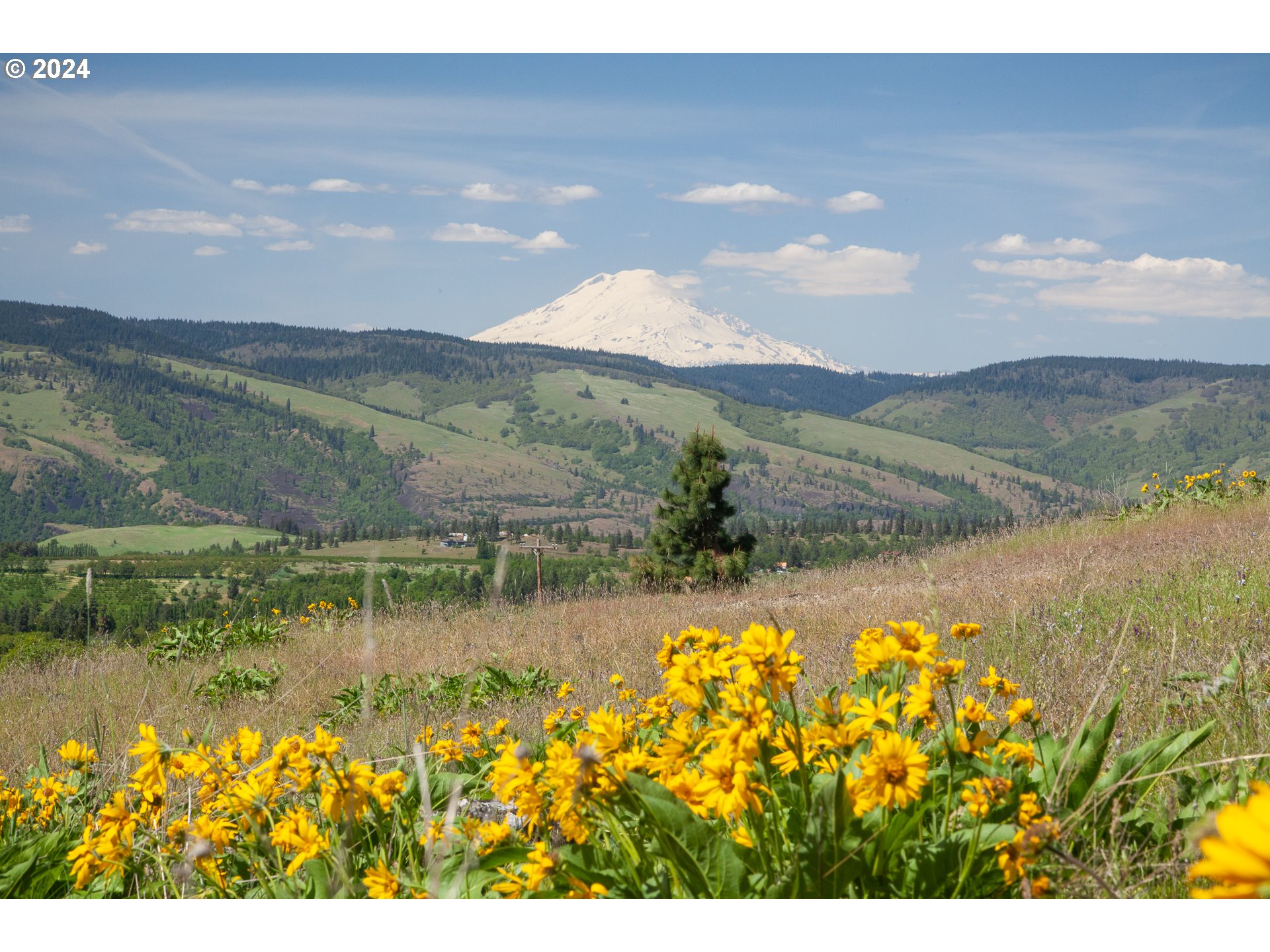 1968 Dry Creek Road Mosier, OR 97040 - Photo 1 of 18 Gallery Image 1