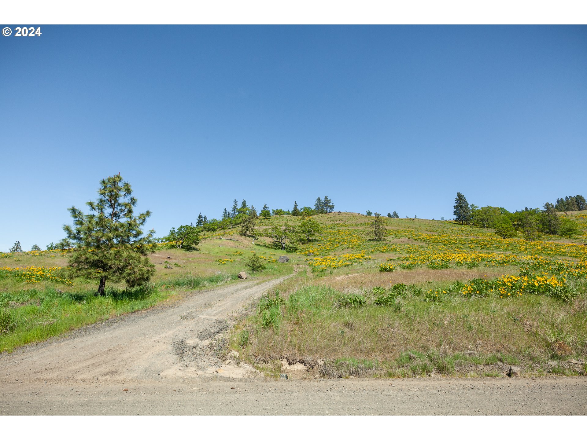 1968 Dry Creek Road Mosier, OR 97040 - Photo 3 of 18 Gallery Image 3