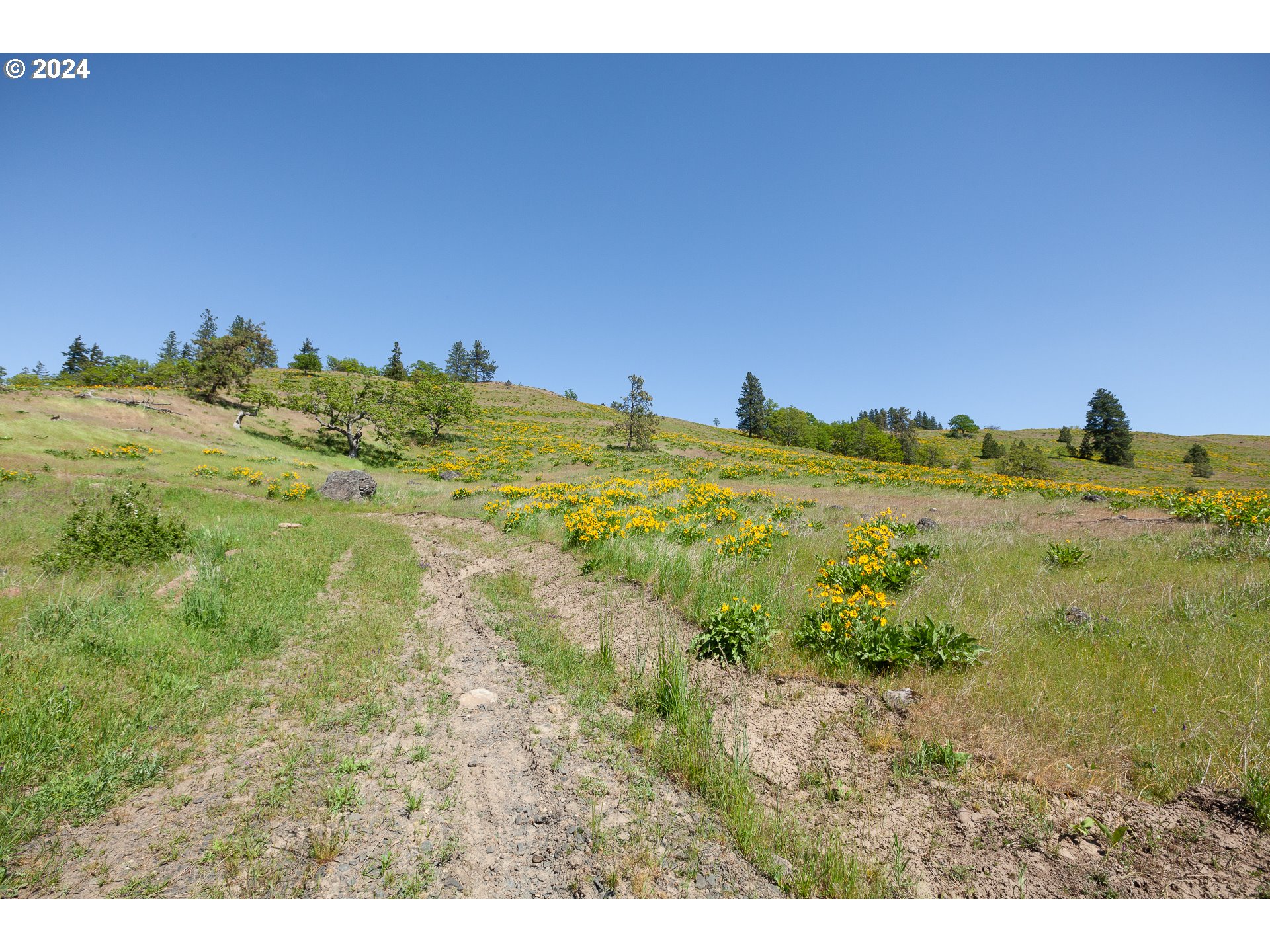 1968 Dry Creek Road Mosier, OR 97040 - Photo 5 of 18 Gallery Image 5