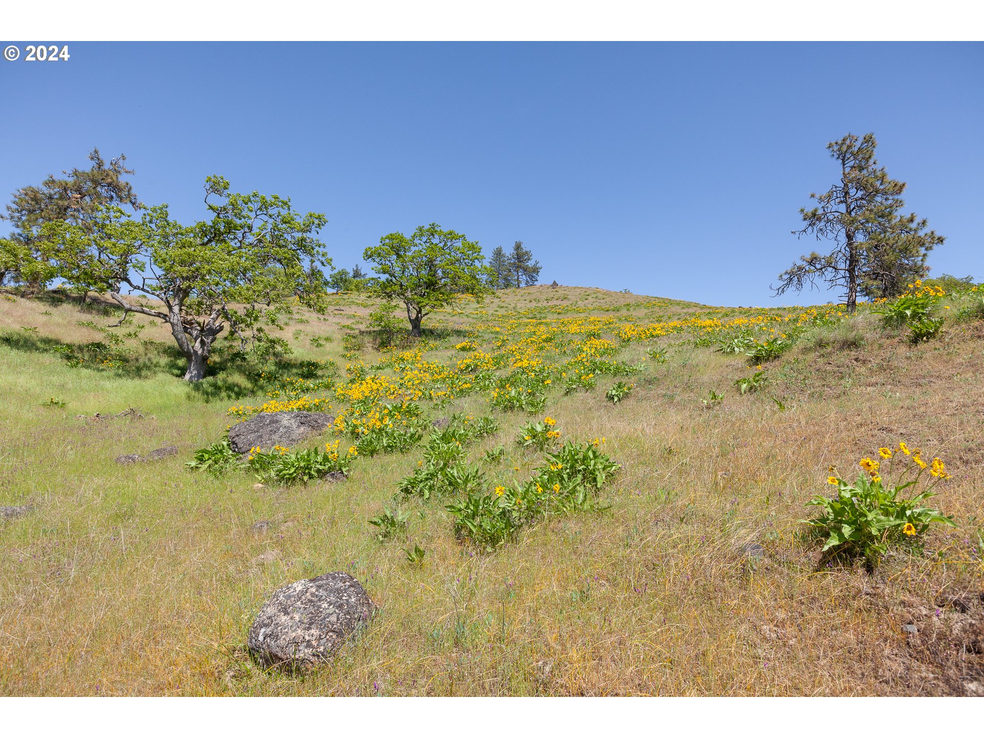 1968 Dry Creek Road Mosier, OR 97040 - Photo 9 of 18 Gallery Image 9