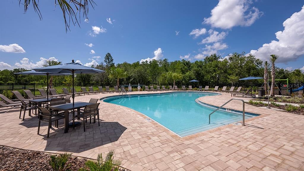 13815 Sawmill Street Parrish, FL 34219 - Photo 25 of 25 a swimming pool with outdoor seating and yard
