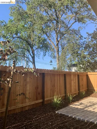 a view of a backyard with large tree