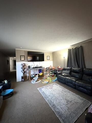 360 East Tuttle Road, Unit 217 Ionia, MI 48846 - Photo 6 of 25