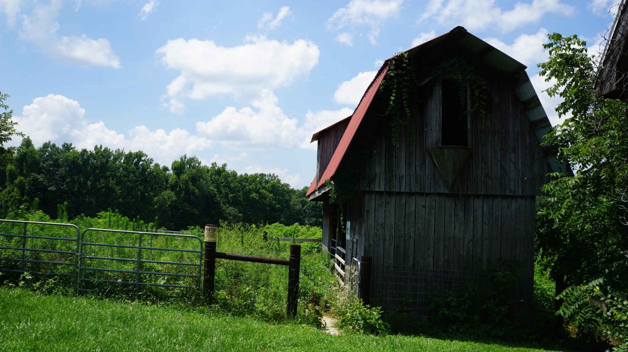 412 Arthur Seagraves Road Sparta, TN 38583 - Photo 19 of 28 Gallery Image 19