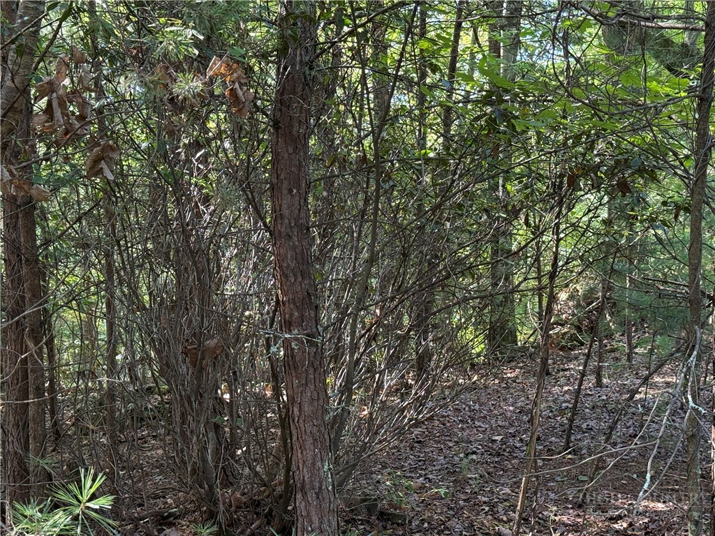 Lot 24 Wolf Pen Road Purlear, NC 28665 - Photo 13 of 42 Gallery Image 13