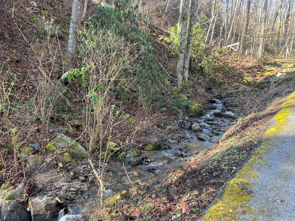 528 Deep Hollow Road Gatlinburg, TN 37738 - Photo 3 of 3 Gallery Image 3