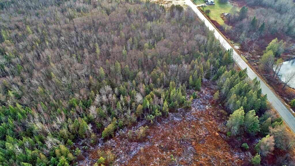 Lot 7 Bangor Road Linneus, ME 04730 - Photo 11 of 24 land-mixed-open-woods