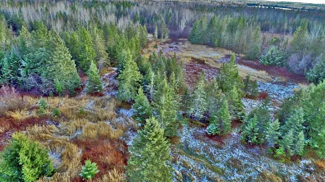 $54,900 | Lot 7 Bangor Road, Linneus, ME 04730