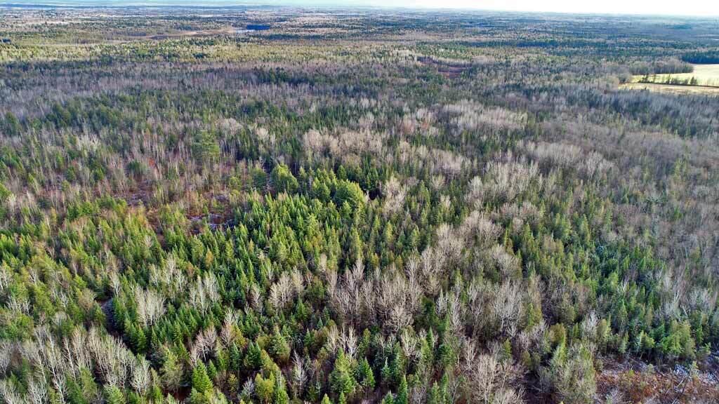 Lot 7 Bangor Road Linneus, ME 04730 - Photo 15 of 24 land-for-sale-maine