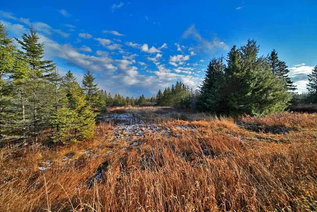 $54,900 | Lot 7 Bangor Road, Linneus, ME 04730