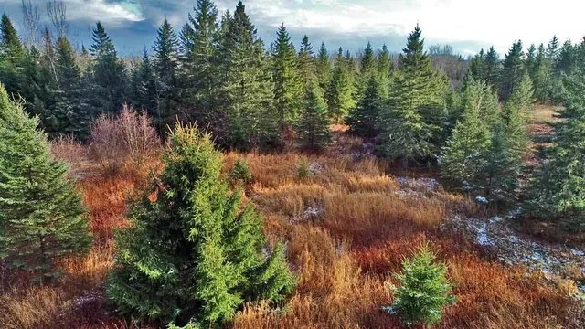$54,900 | Lot 7 Bangor Road, Linneus, ME 04730