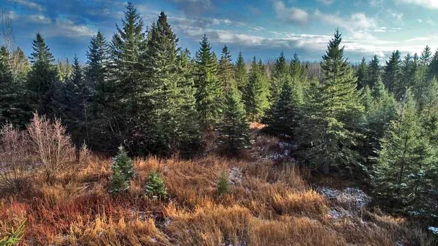 $54,900 | Lot 7 Bangor Road, Linneus, ME 04730