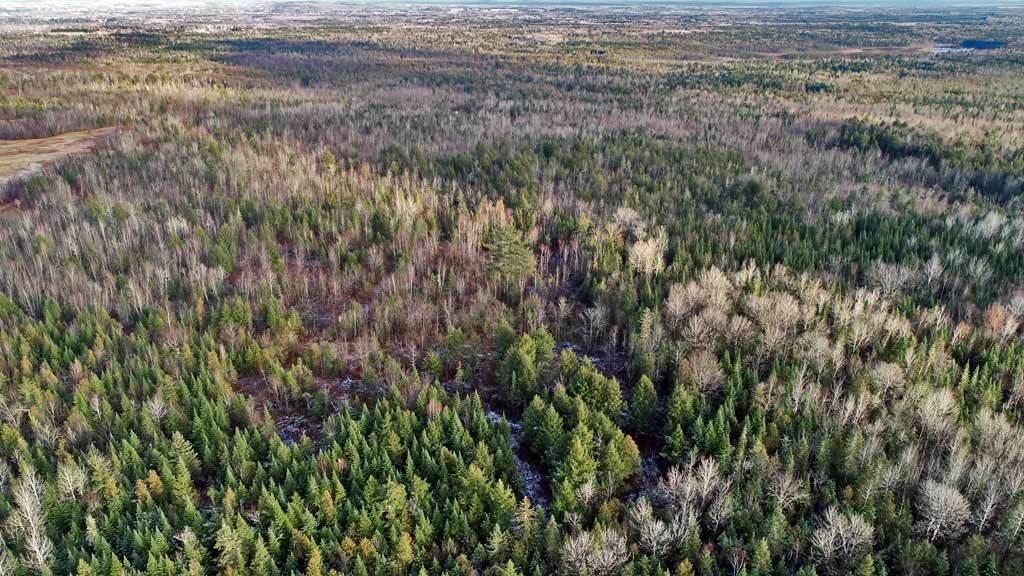 Lot 7 Bangor Road Linneus, ME 04730 - Photo 23 of 24 me-land-aerial-linneus